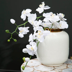 Metallic Vase | Stellar