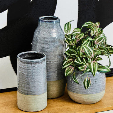 Three ceramic pots with a plant on a wooden surface