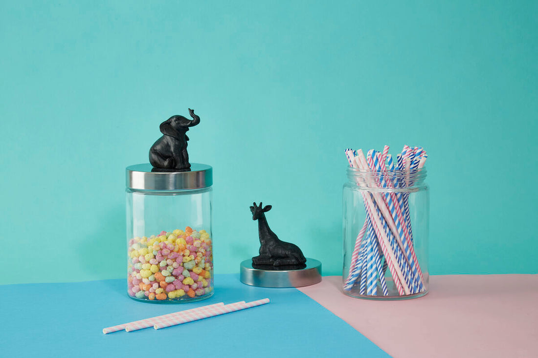 Boho Giraffe Jar