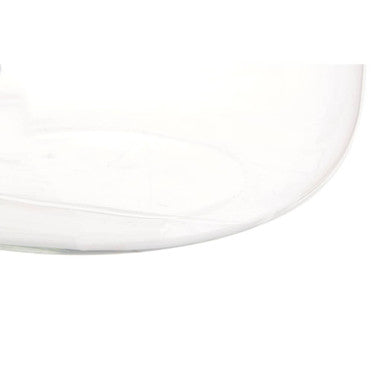 Ambra Clear Glass Bouquet Globe Vase