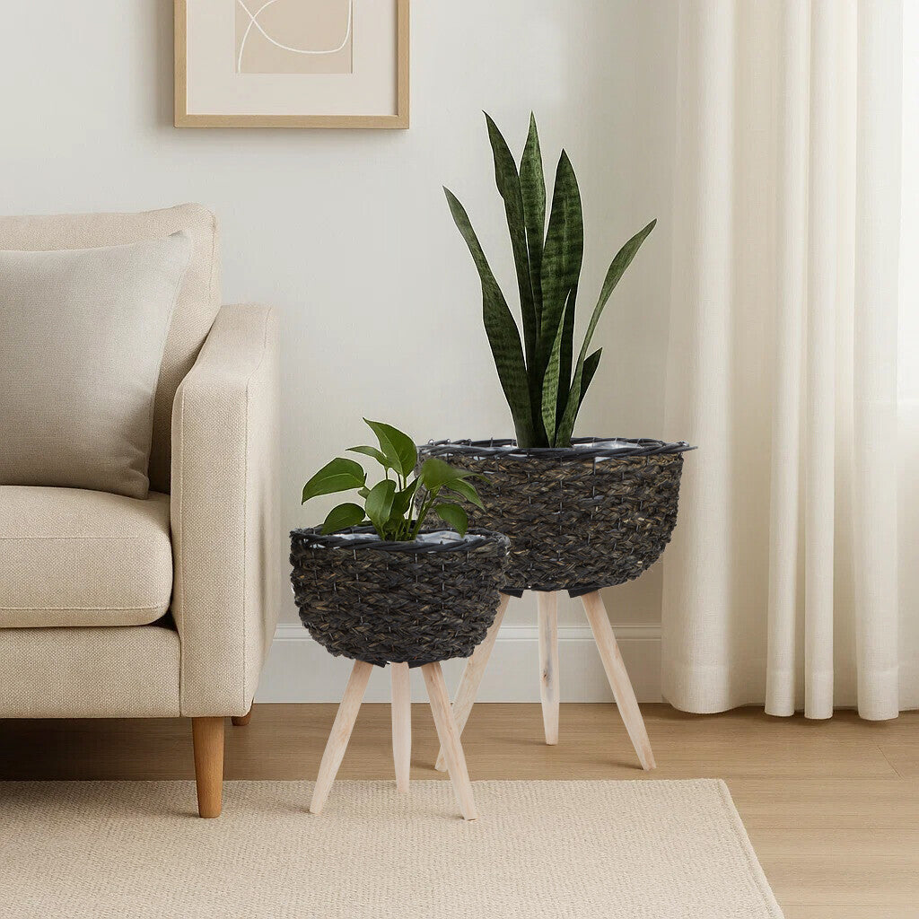 Lentigo Set Of Two Black Planters