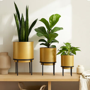 Set of Three Gold Finish Planters | Avento