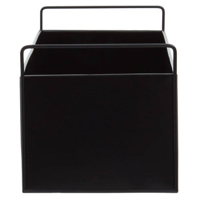 Asher Black Box Large Wall Plant