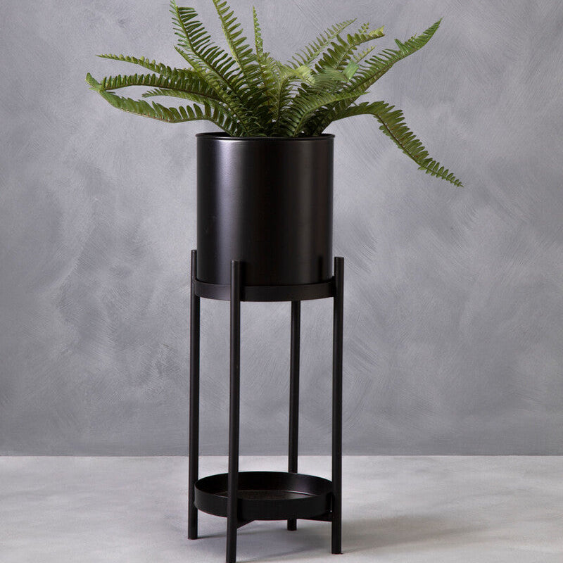 Potted fern on a black stand against a gray wall