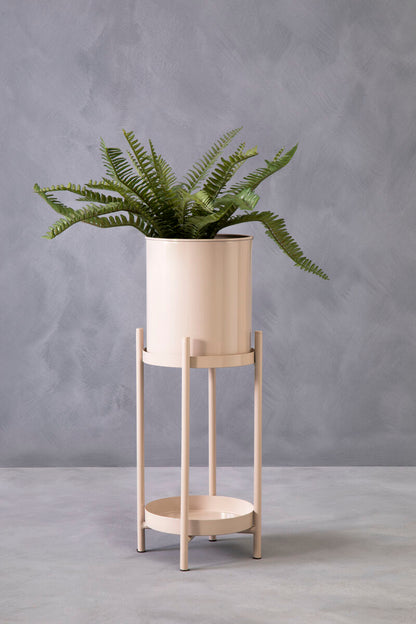 Potted fern on a wooden plant stand against a gray background