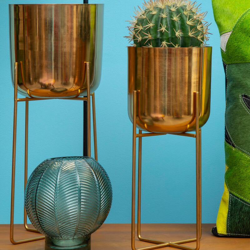Decorative items including a cactus in a gold pot, a textured green vase, and a colorful pillow on a wooden surface with a blue background.