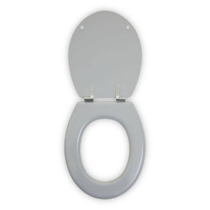 Brooks Matte Grey Toilet Seat