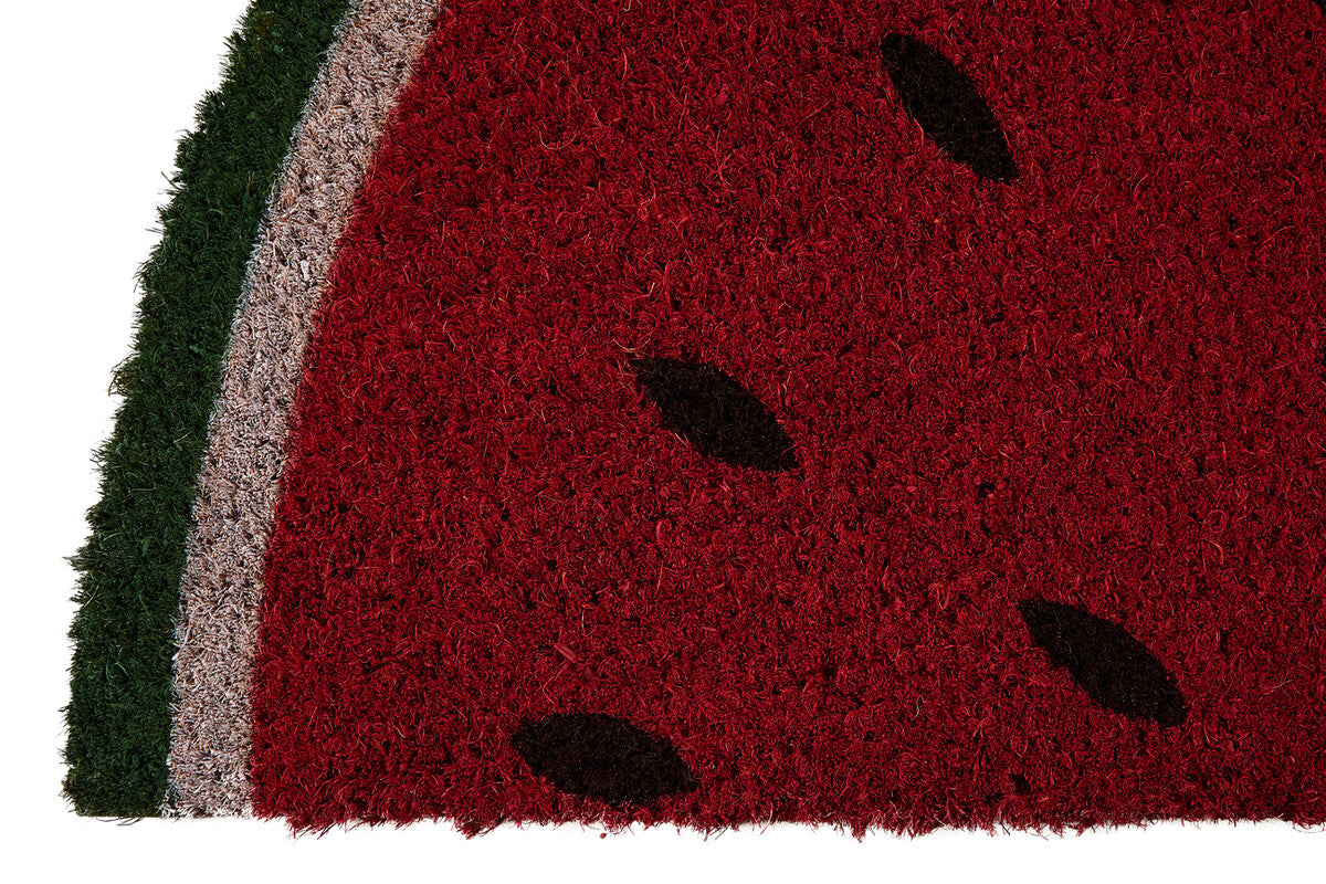 Filta Water Melon Coir Doormat