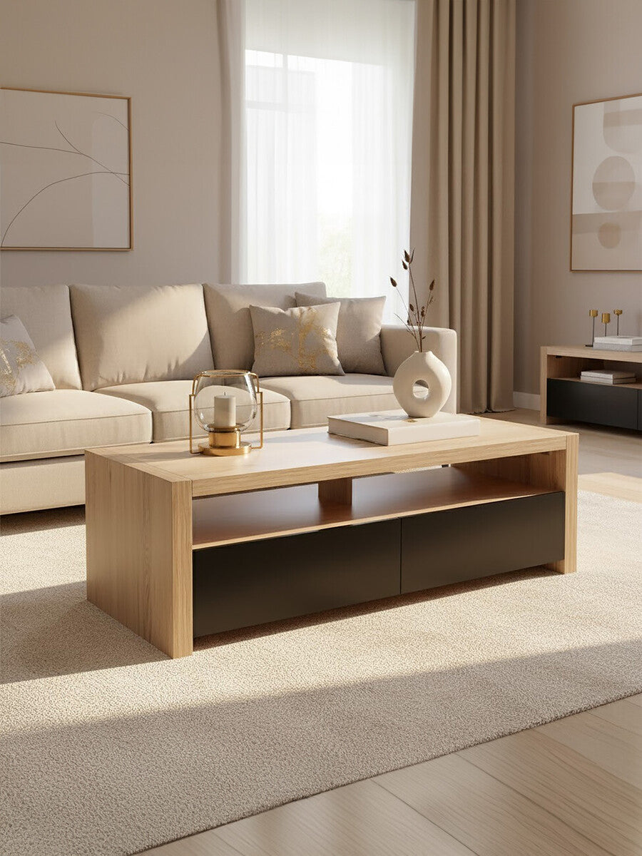 Loki 2 Drawers And 1 Shelf Coffee Table - image 5