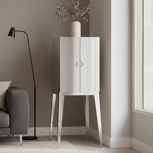 Lure Stainless Steel 2 Door Cabinet