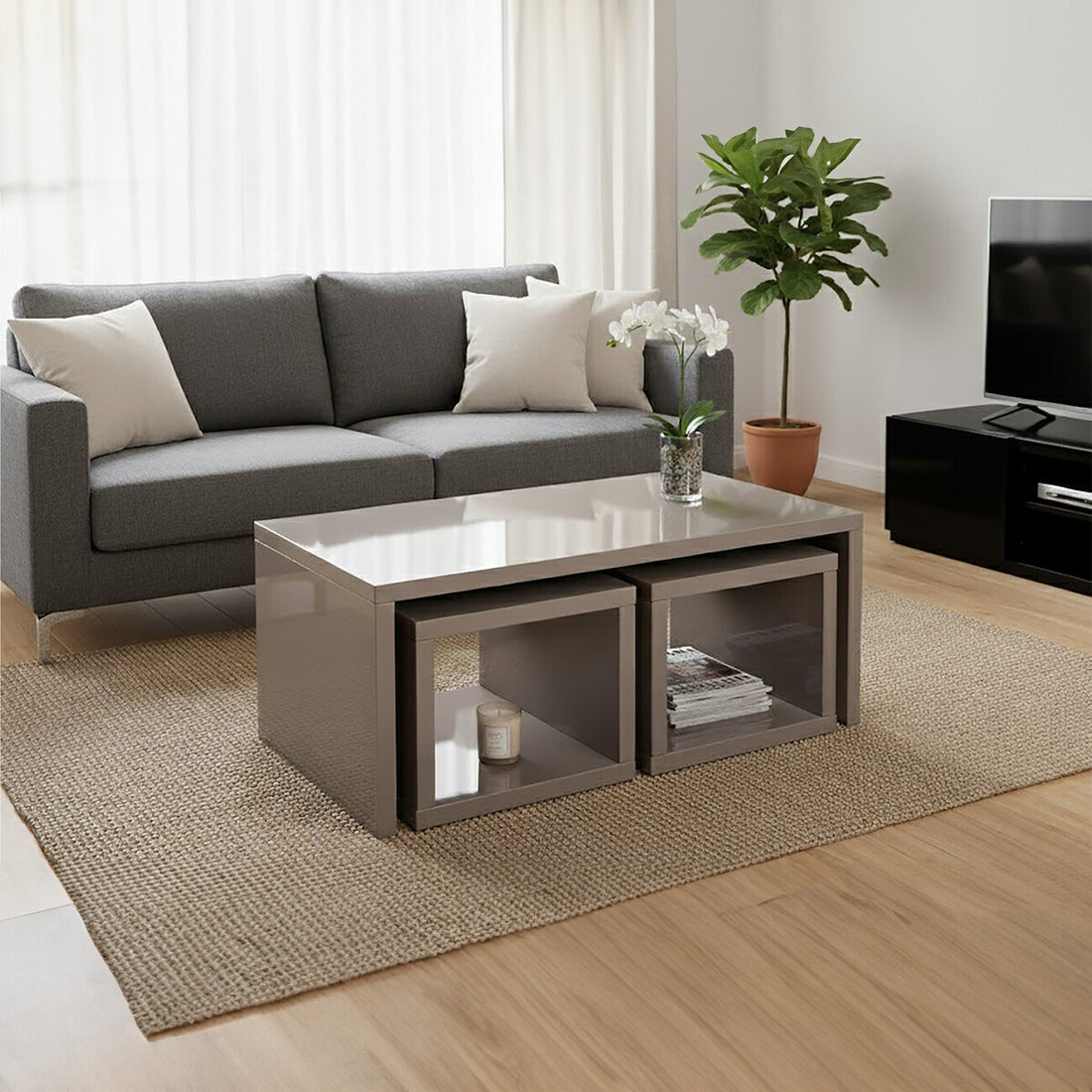 Modern living room with a gray sectional sofa, coffee table, and plant.