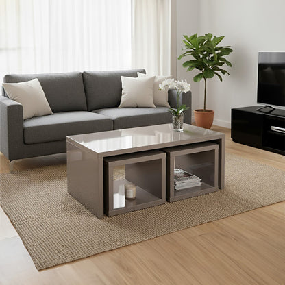 Modern living room with a gray sectional sofa, coffee table, and plant.
