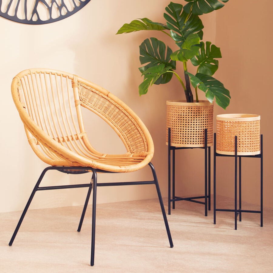 Wicker chair with two potted plants against a beige wall.