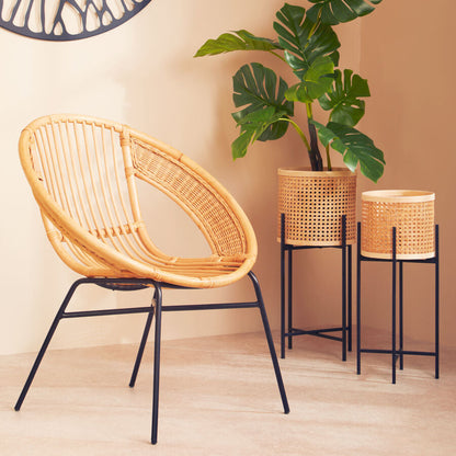 Wicker chair with two potted plants against a beige wall.
