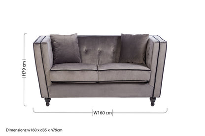 Ferris Grey Velvet 2 Seat Sofa