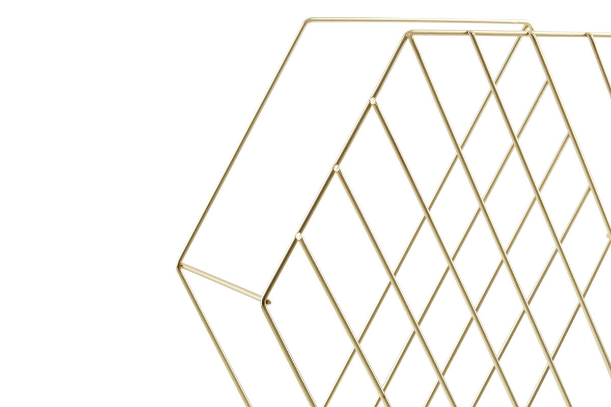 Vertex Hexagonal Magazine Rack