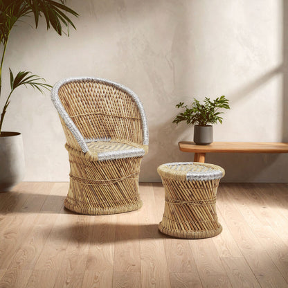 Wicker chair and ottoman set with a plant and wooden table in the background.