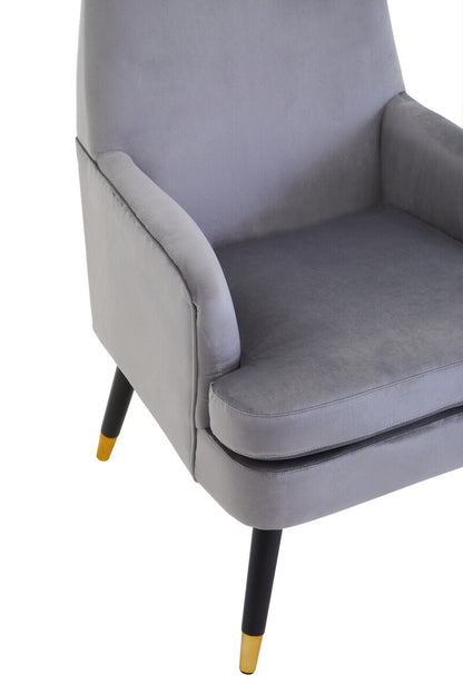 Loretta Mink Velvet Accent Chair