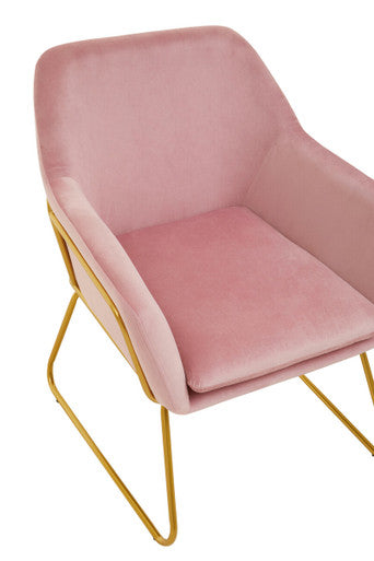Xander Pink Velvet Modern Accent Chair with Gold Frame