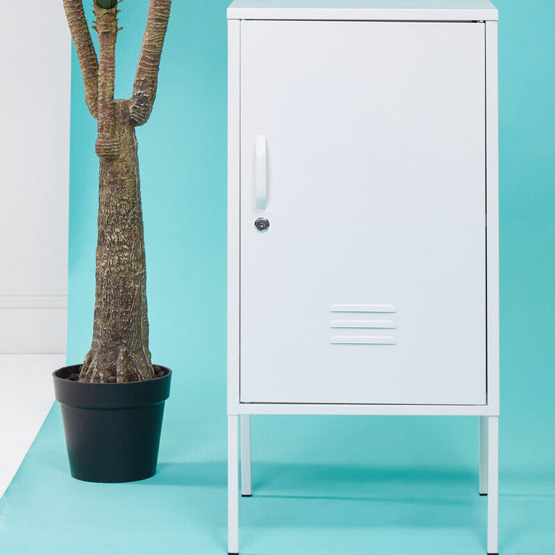 White locker next to a potted plant against a turquoise wall