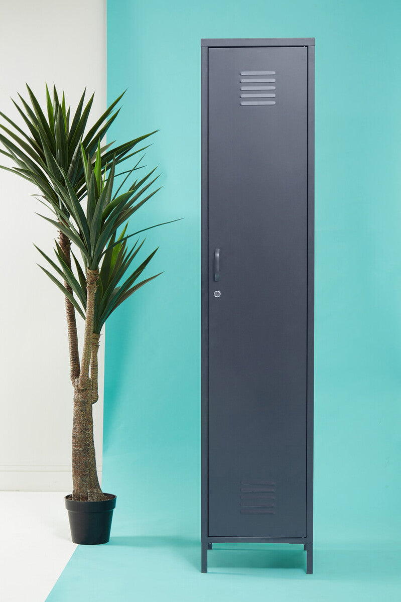 Tall dark gray metal locker against a light blue wall with a potted plant to the left.