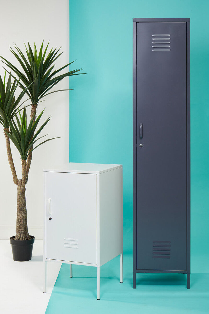 Two lockers, one white and one gray, against a teal wall with a plant on a white surface.