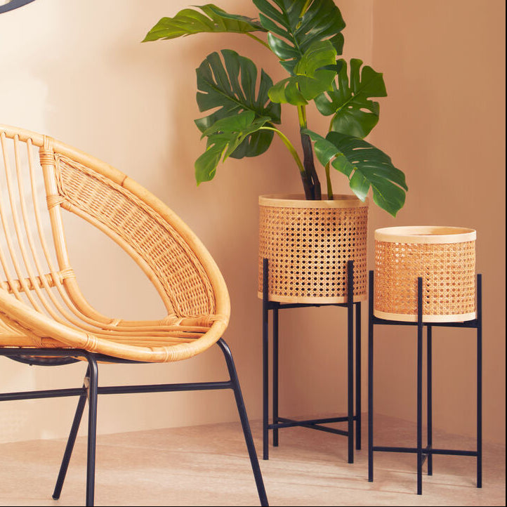 Wicker chair and plant stands with a plant against a beige wall.
