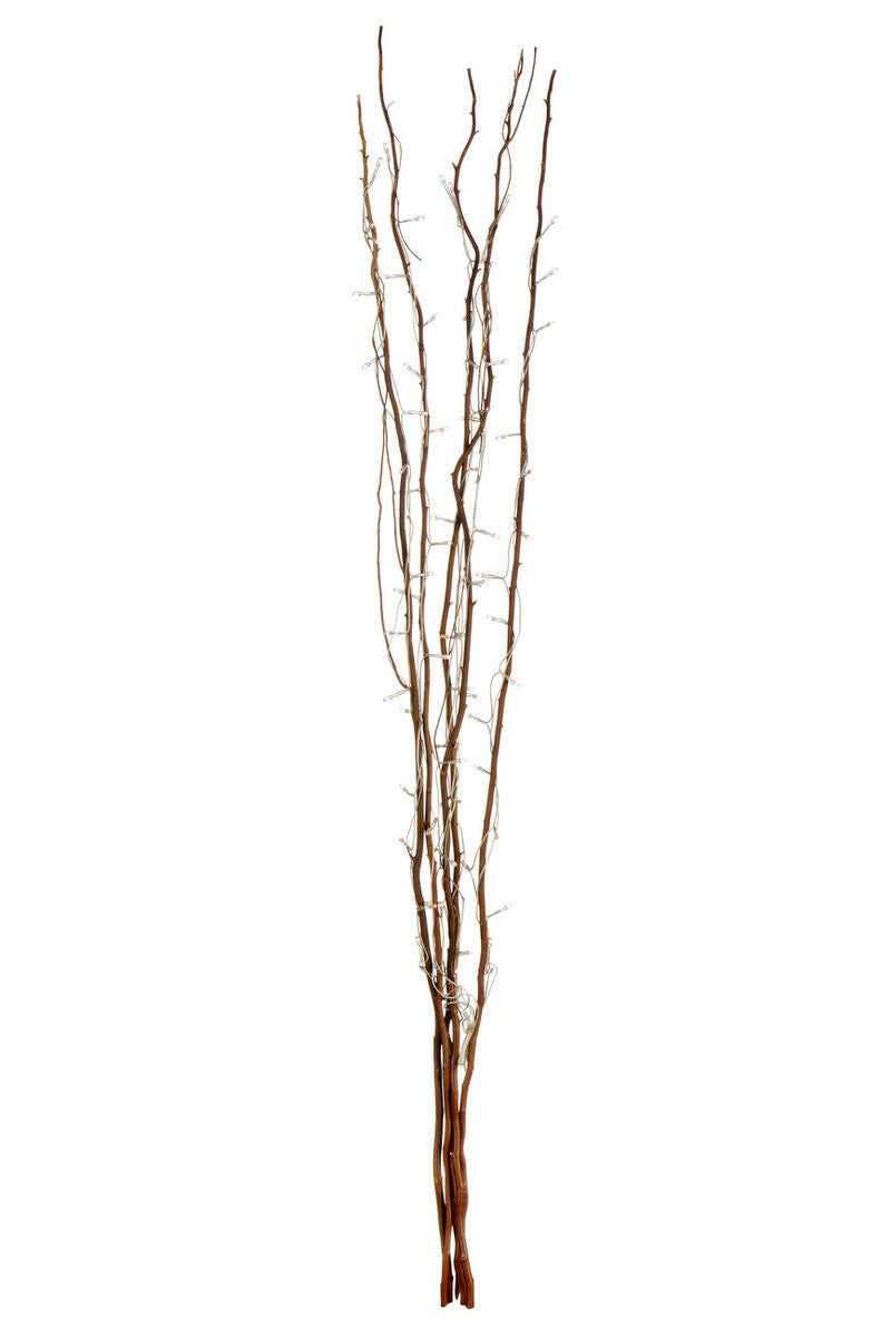 Set of dried branches on a white background