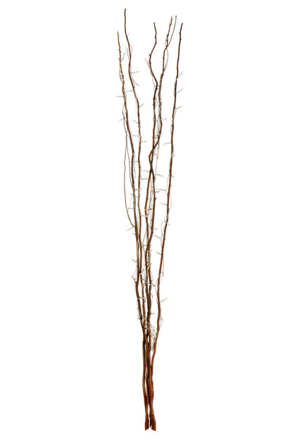 Set of dried branches on a white background