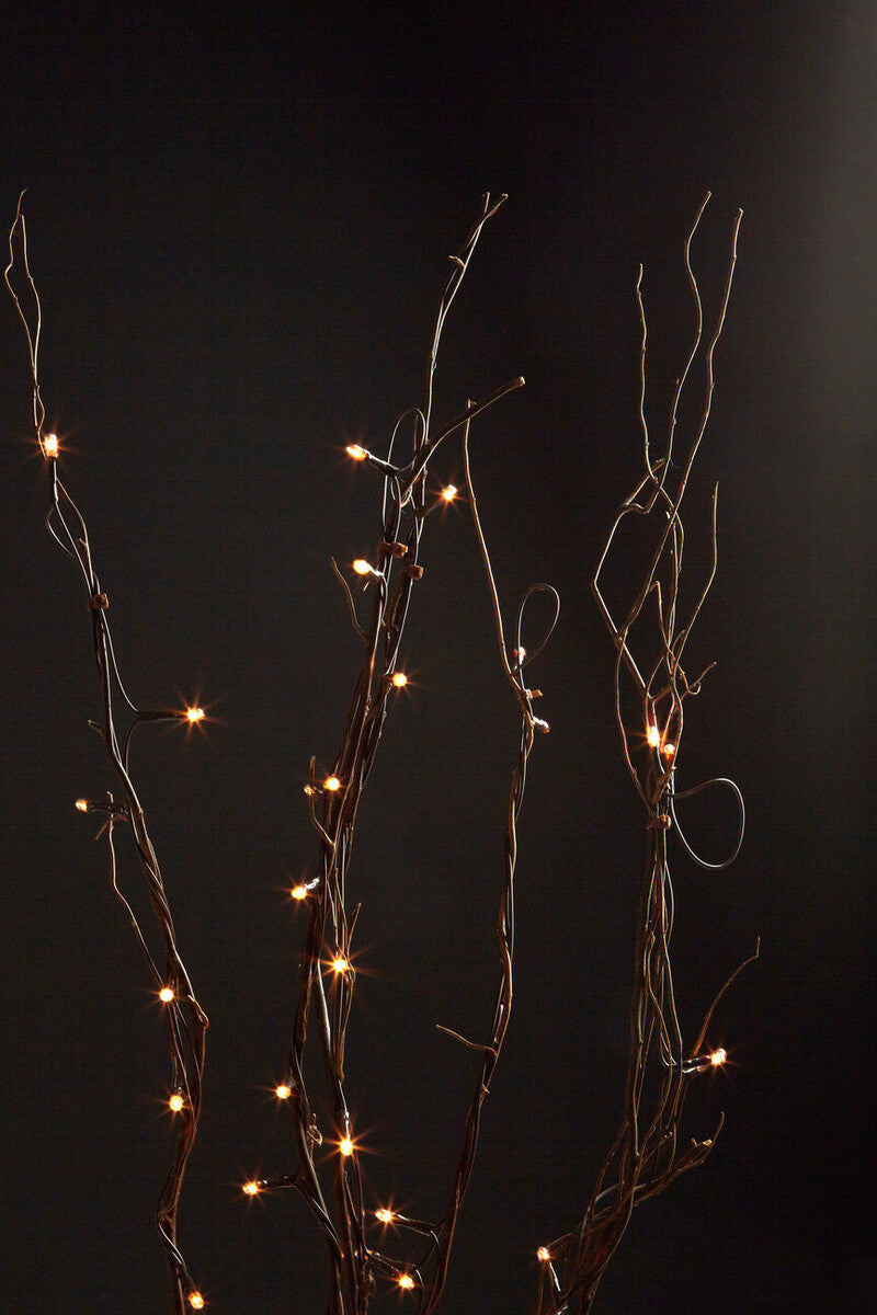 Decorative string lights on bare branches against a dark background