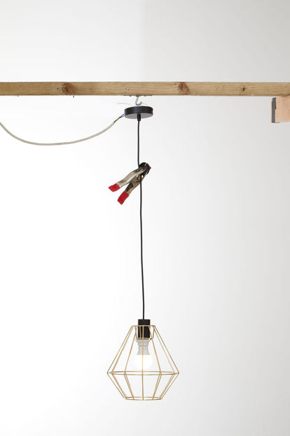 Wyra Champagne Gold Cage Pendant Light