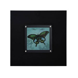 Butterfly 1 Framed Wall Art | Frame
