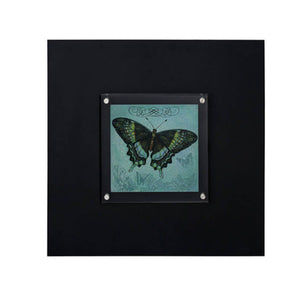 Butterfly 2 Framed Wall Art | Frame