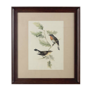 Framed Birds 1 Wall Art | Bird Wall Art