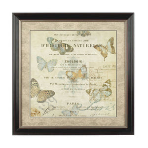 Framed Butterfly 2 Wall Art | Butterfly Wall Art