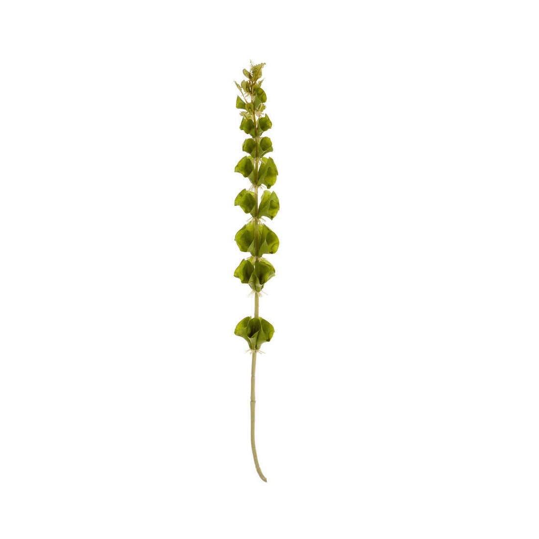 Fiori Artificial flowers Bells Of Ireland Stem