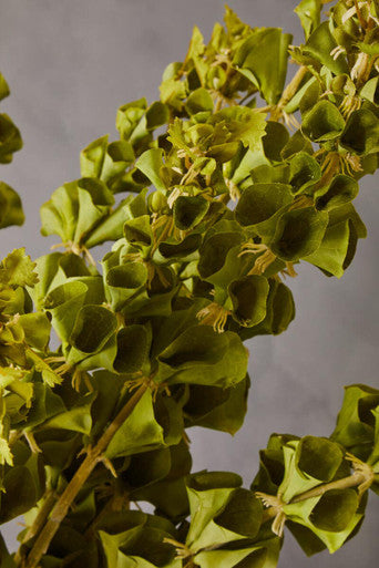 Fiori Artificial flowers Bells Of Ireland Stem