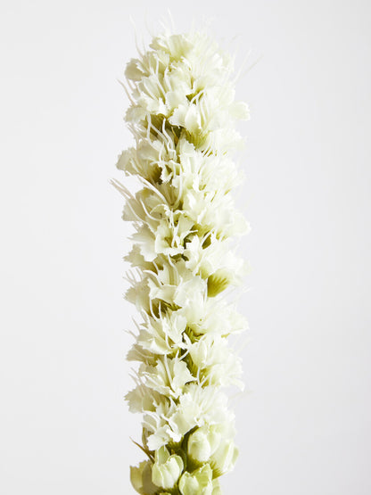 Fiori Grey Feather Stem