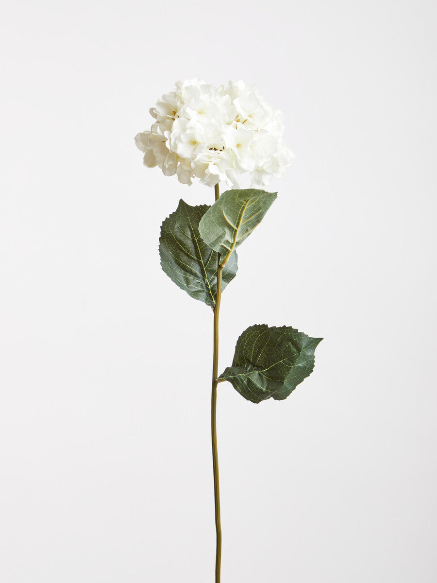 Fiori Cream Hydrangea Stem