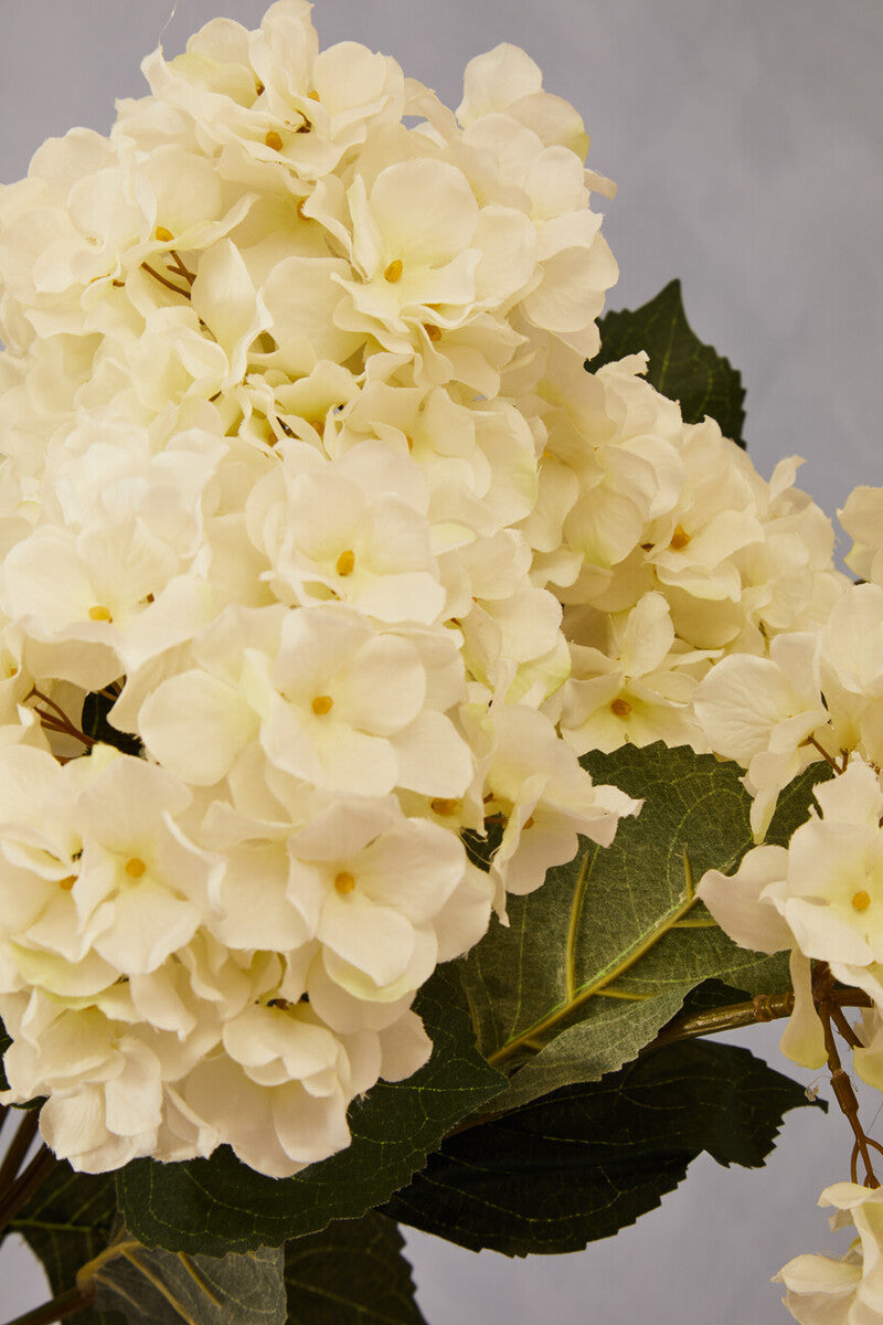 Fiori Cream Hydrangea Flower Stem