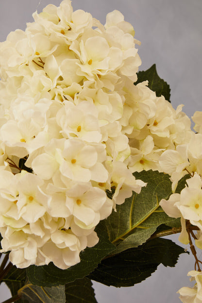 Fiori Cream Hydrangea Stem