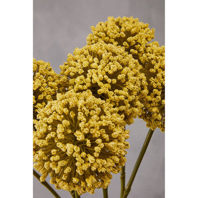Fiori Artificial flowers Green Allium Stem