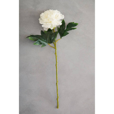 Fiori White Peony Stem