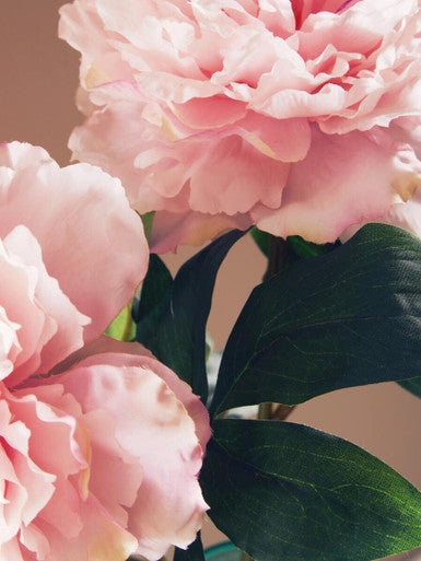 Fiori Artificial flowers Pink Peony Stem