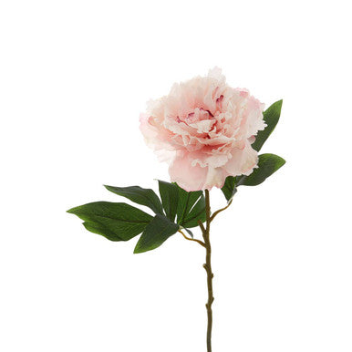 Fiori Artificial flowers Pink Peony Stem