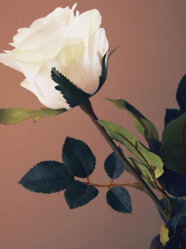 Fiori Artificial flowers White Rose Stem