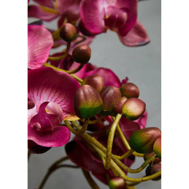 Fiori Purple Orchid Flowers in Black Pot