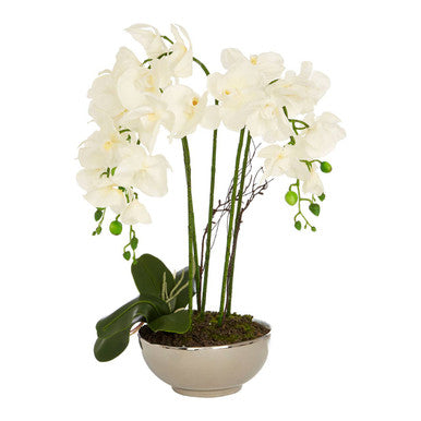 Fiori White Orchid Flowers in Round Silver Pot