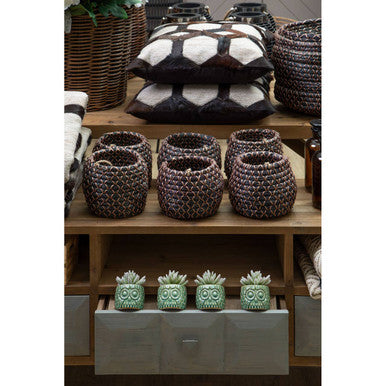 Fiori Small Succulent in Ceramic Owl Pot