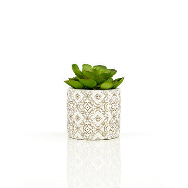 Fiori Set of 3 Succulents in Geometric Design Ceramic Pots
